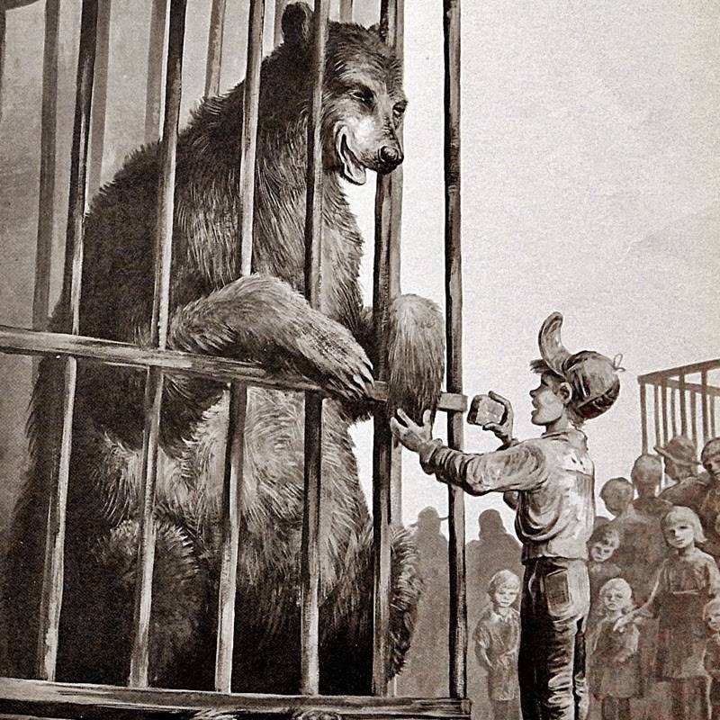 세상에서 가장 커다란 곰