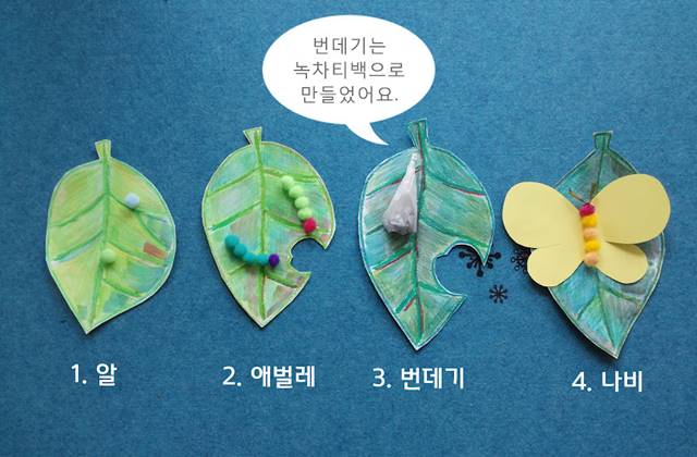 나비의 한살이 체험 놀이 : 배추흰나비 알 100개는 어디로 갔을까?