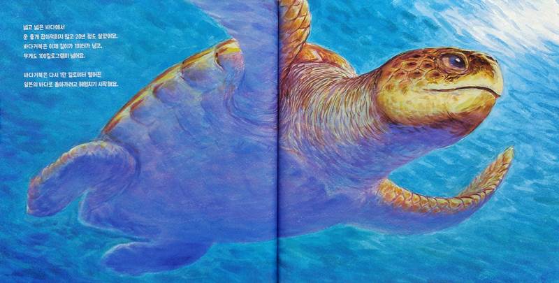 바다거북, 생명의 여행