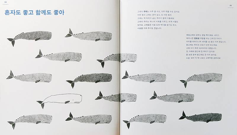 고래 책